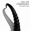 The Joy Formidable - This Ladder Is Ours