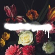 Grande Roses - Built On Schemes