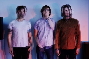 (c) David Waldman Metz