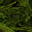 Atoms And Void - And Nothing Else