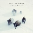 Said The Whale - As Long As Your Eyes Are Wide