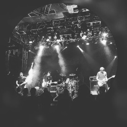Myelin