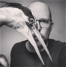Accidental Bird (c) Stefan Honig Accidental Bird